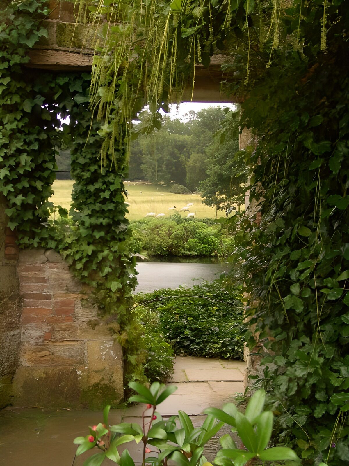 Efeubewachsene Mauer mit Gartenblick