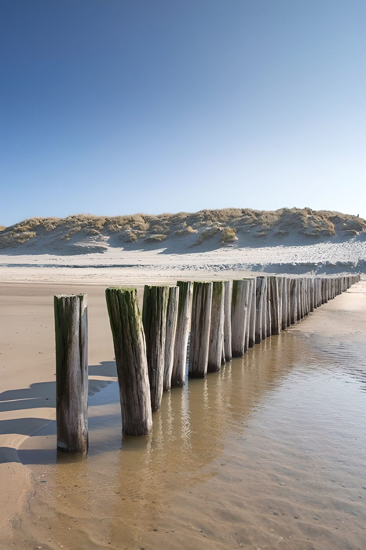 Holzpfähle am Strand unter blauem Himmel