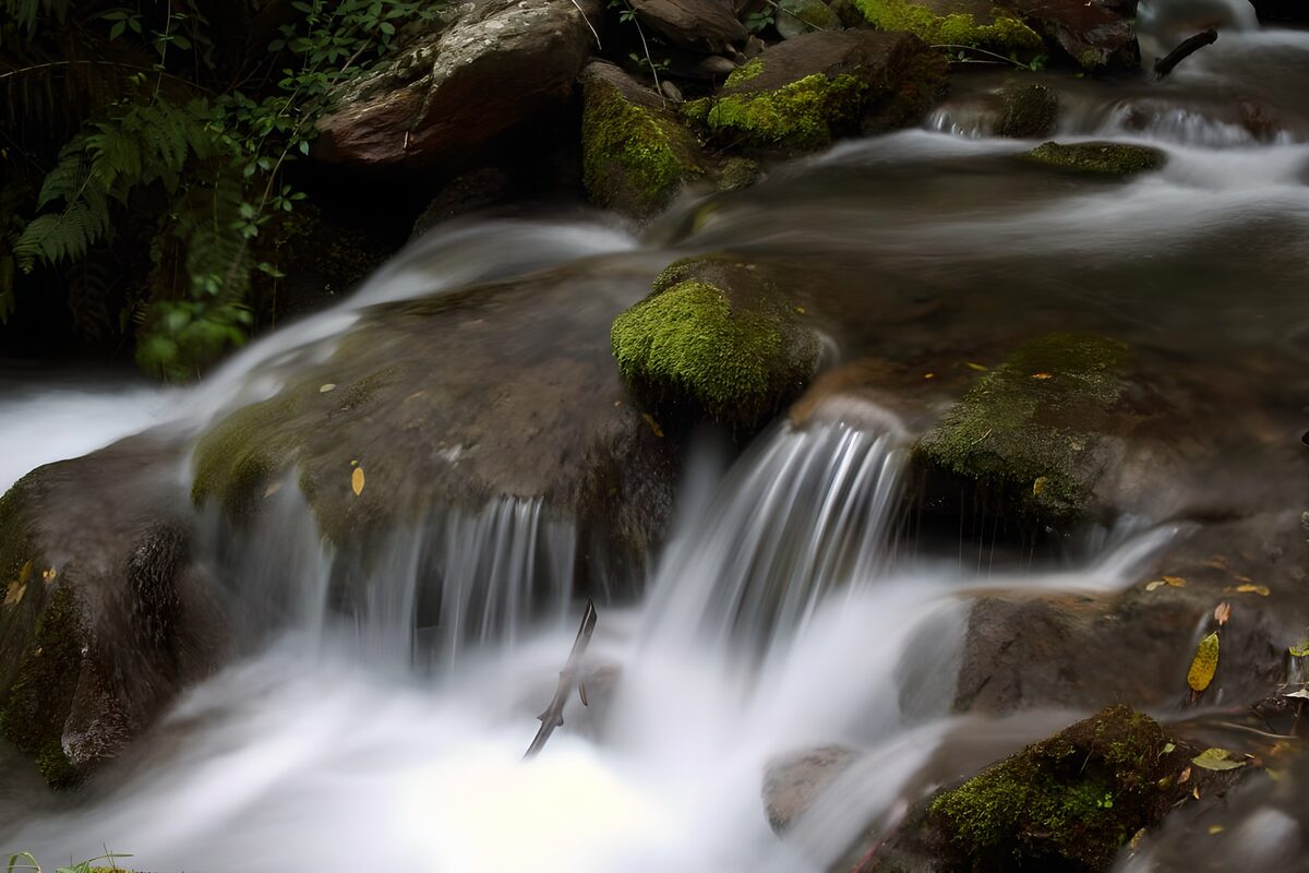 Waldbach über moosgrünen Felsen