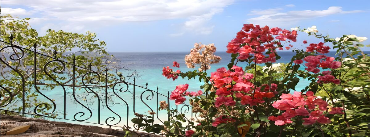 Bougainvillea vor türkisblauem Meer