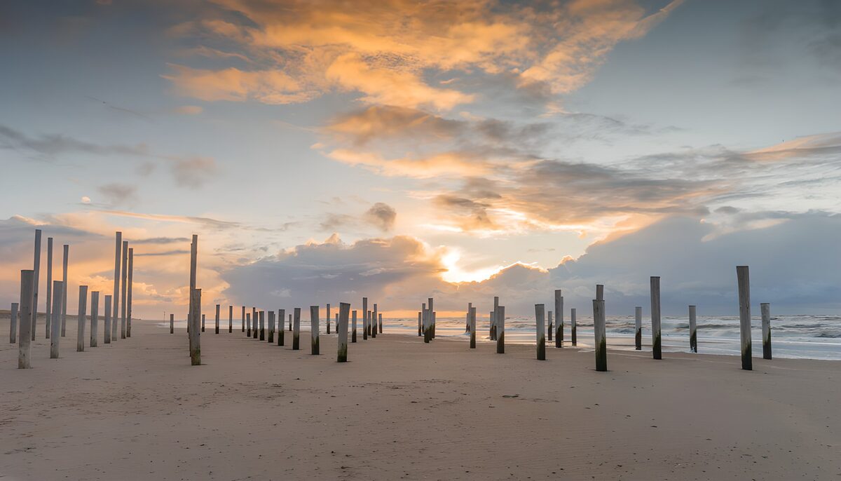 Holzpfähle am Strand im Abendlicht