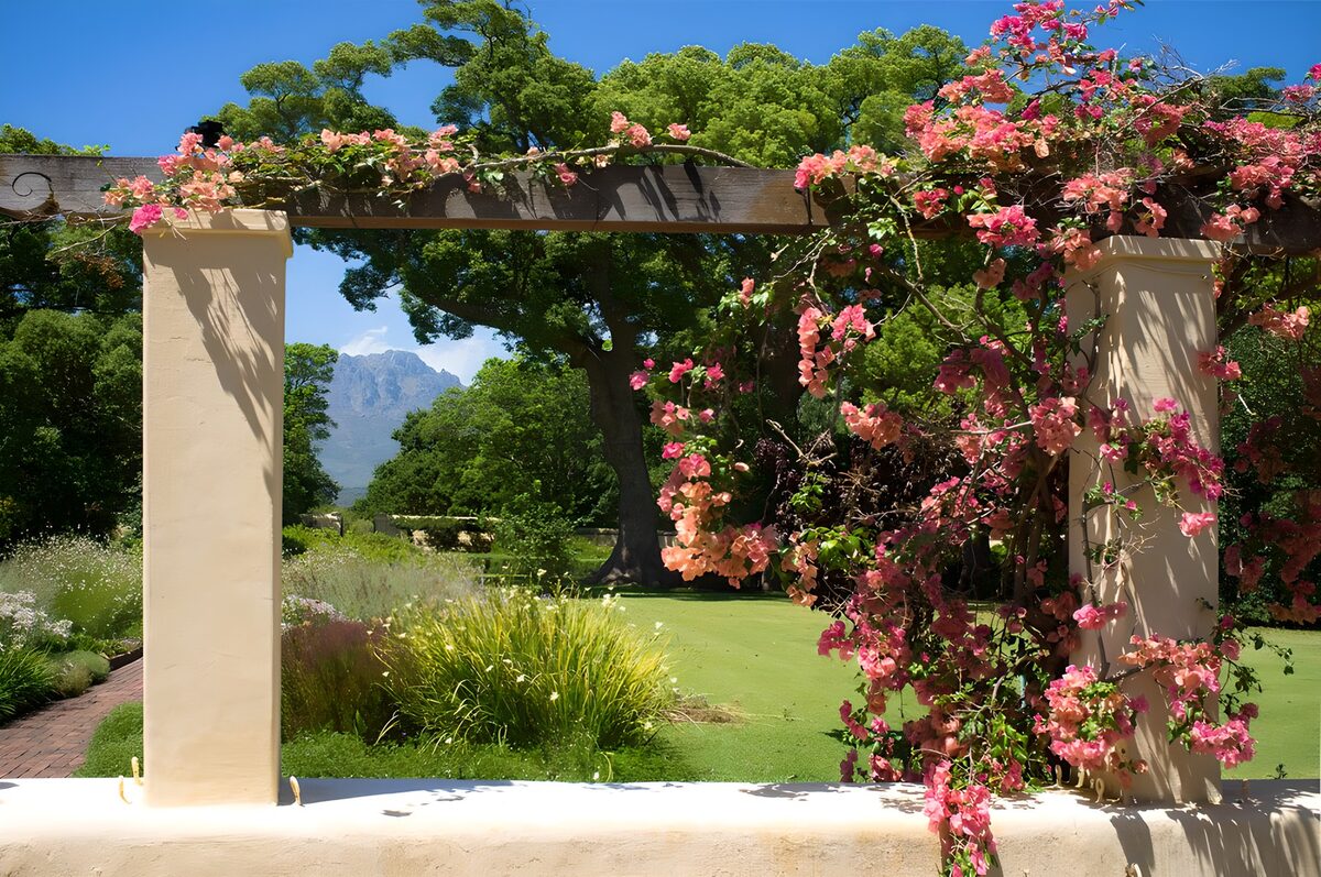 Pergola mit Bougainvillea im Sonnenlicht