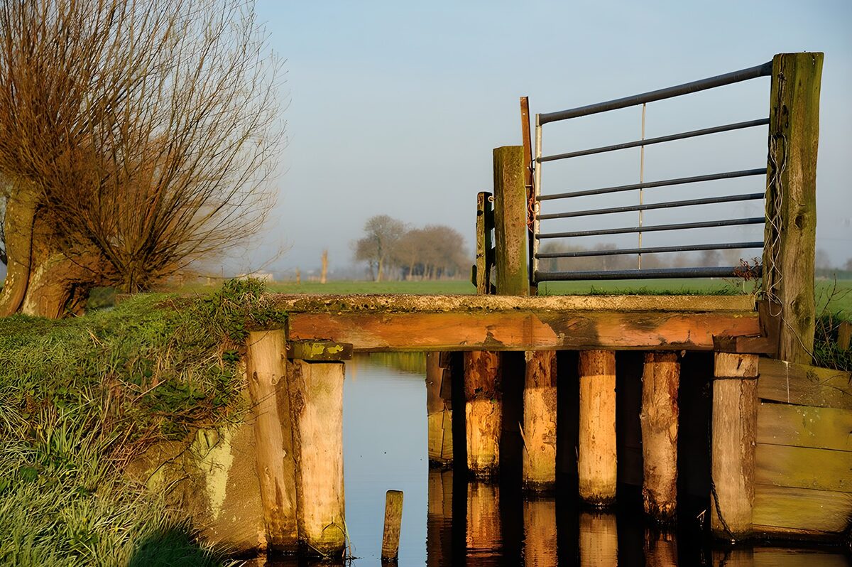 Holzbrücke mit Weidetor im warmen Licht