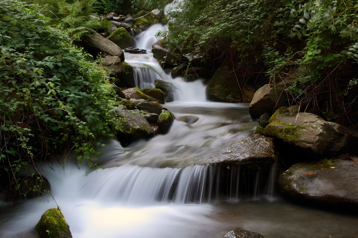 Wasserfall über Felsen im grünen Wald