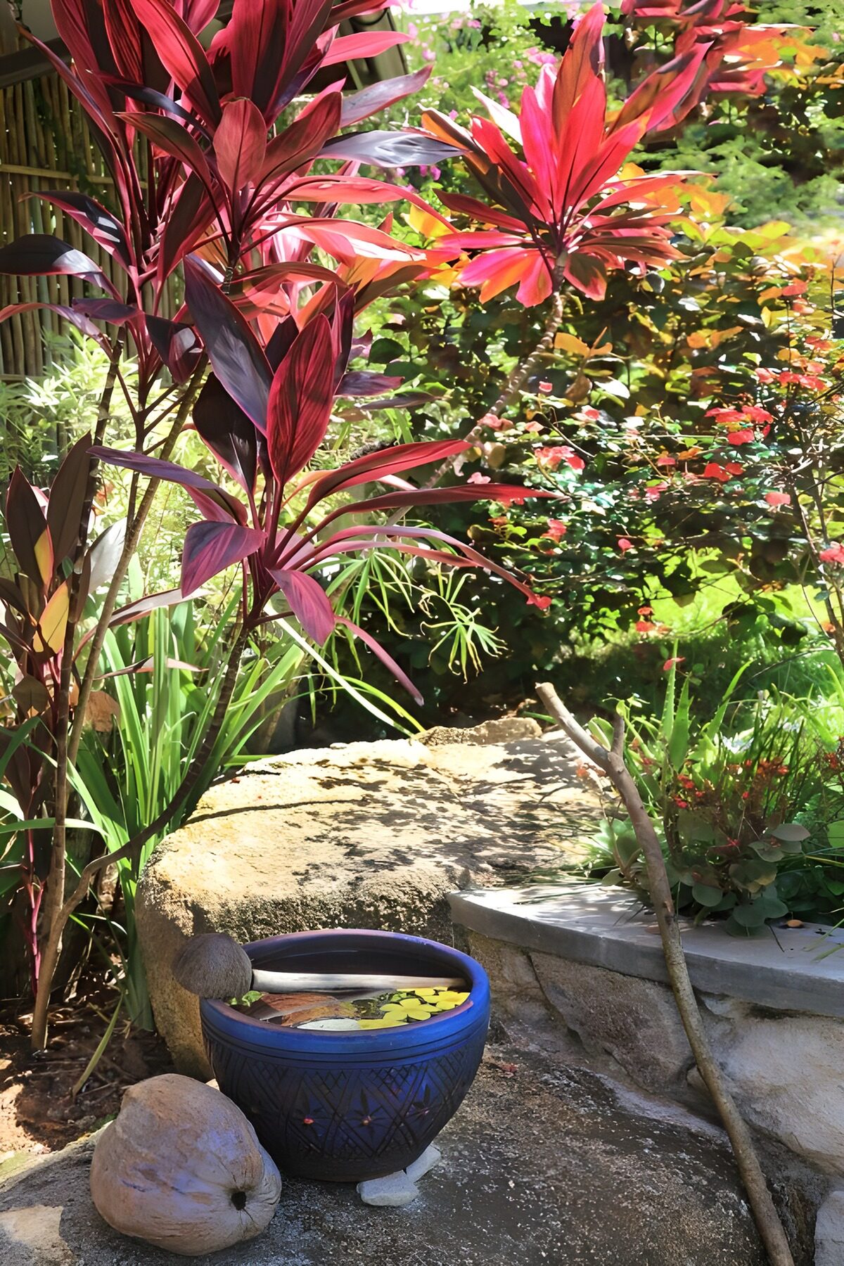 Rote Blätter über einer blauen Wasserschale