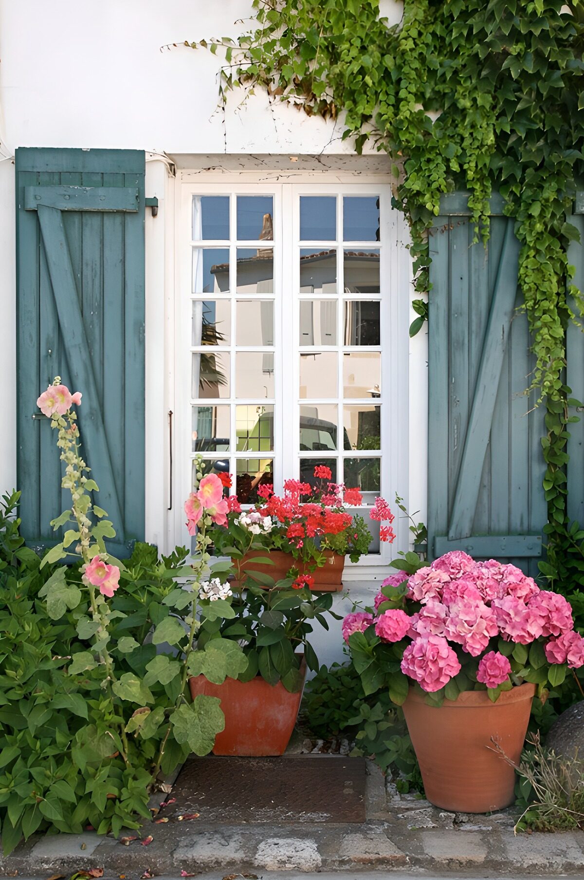 Blaue Fensterläden im Blütenmeer