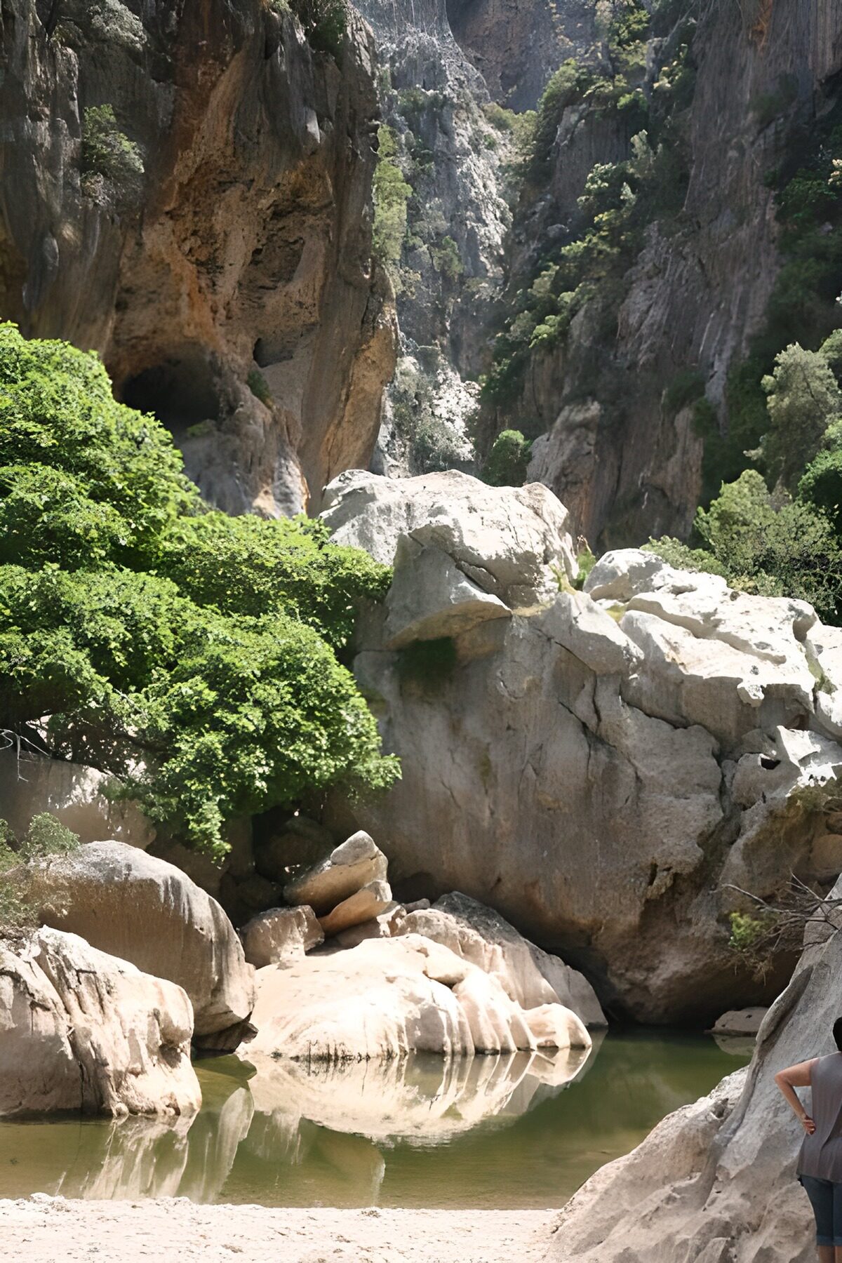 Felsenschlucht mit olivgrünem Wasser