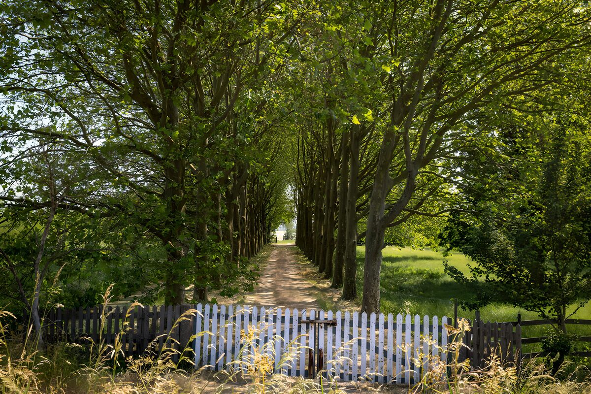 Sommerallee mit weißem Holztor