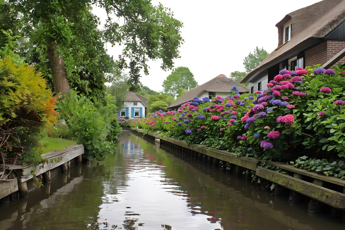 Stiller Dorfkanal mit Hortensien