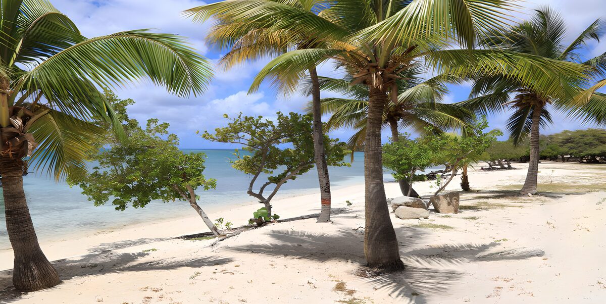 Palmenstrand mit eingebauter Auszeit
