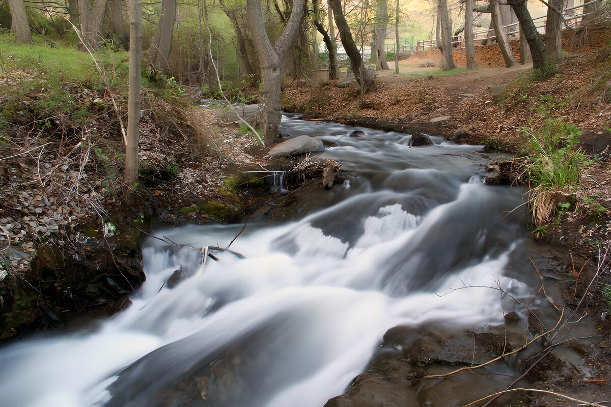 Waldbach über Felsen im sanften Licht
