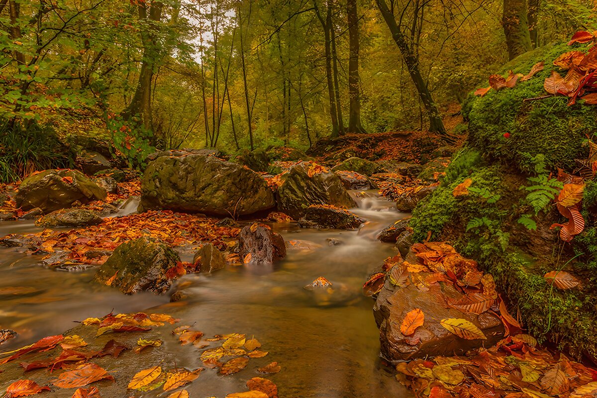 Herbstbach zwischen moosgrünen Felsen