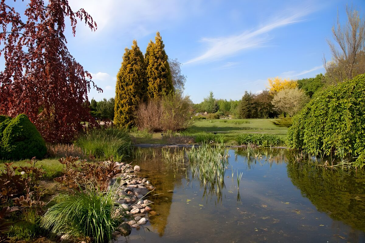 Gartenteich im hellen Tageslicht
