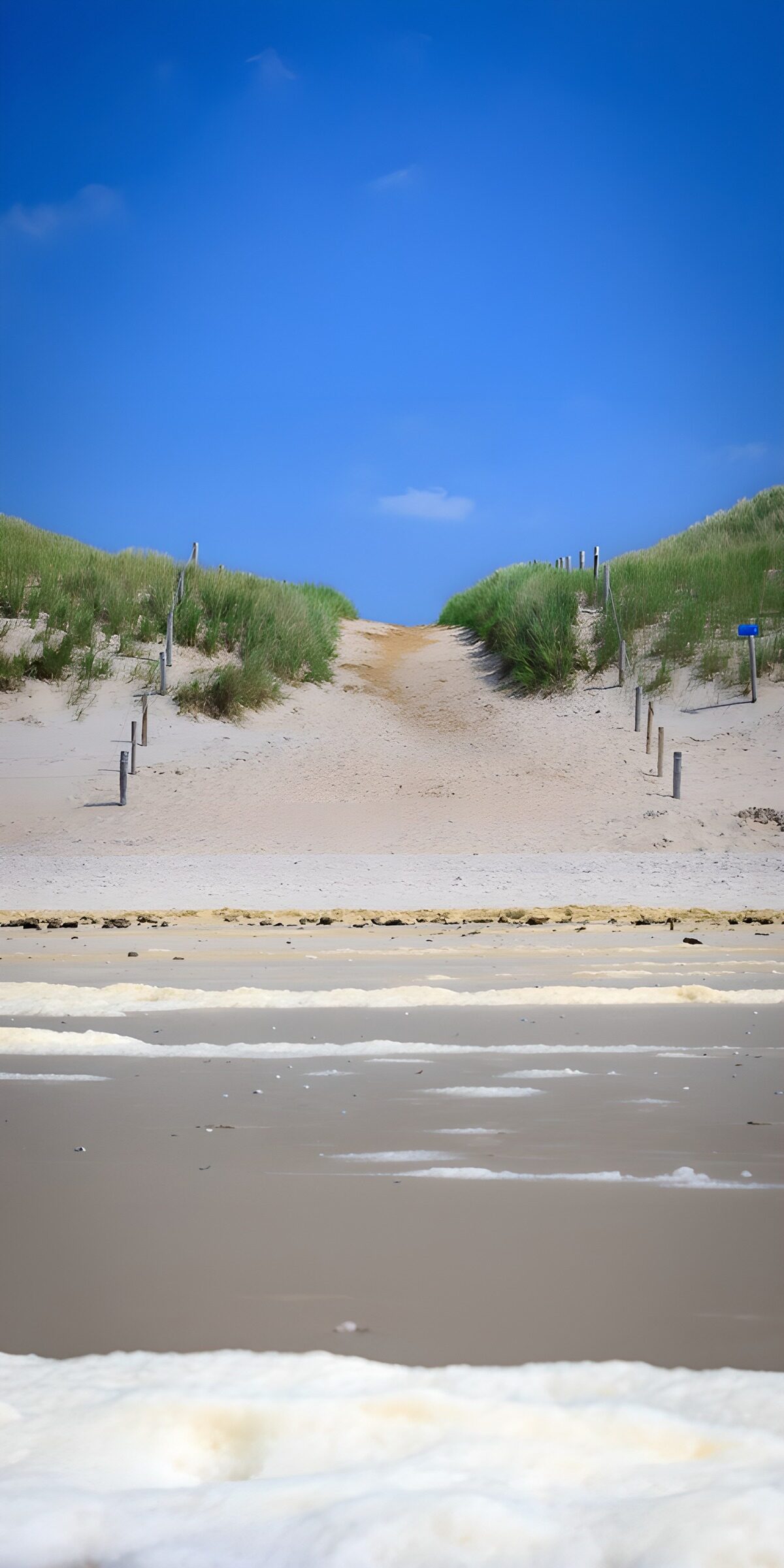 Dünenweg unter strahlend blauem Himmel