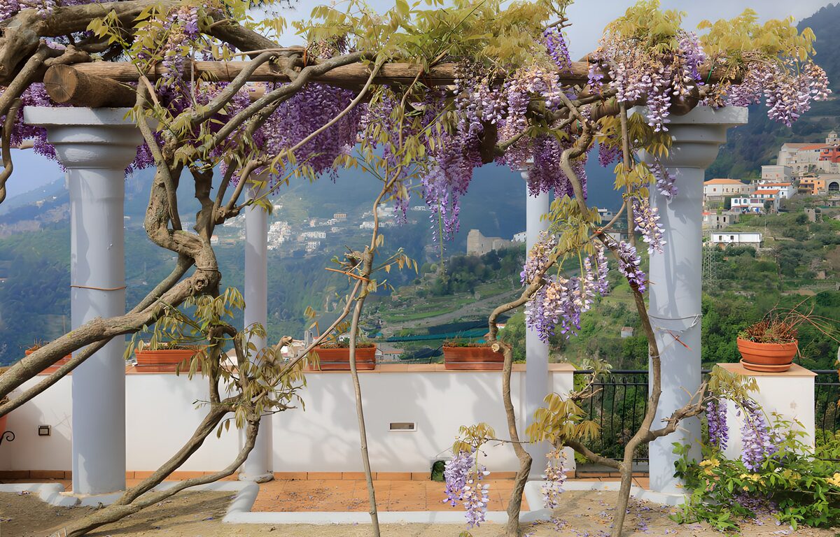 Blauregen-Pergola mit weitem Talblick
