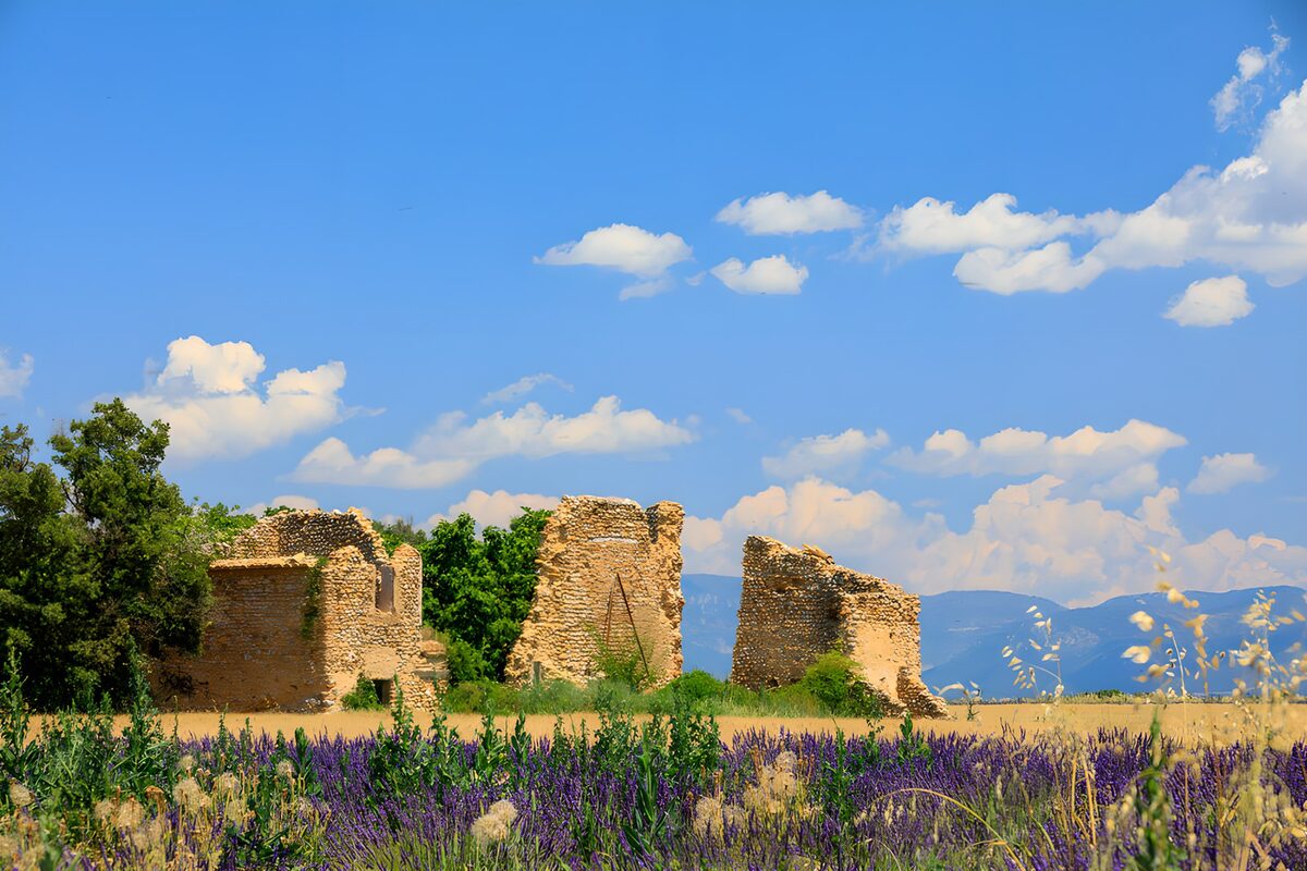 Steinruine im sommerlichen Blütenfeld