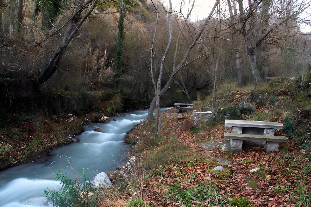 Waldbach mit stillen Picknickplätzen
