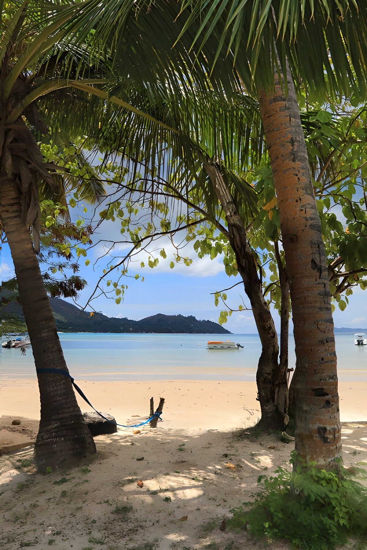 Palmenstrand mit Booten im türkisblauen Meer