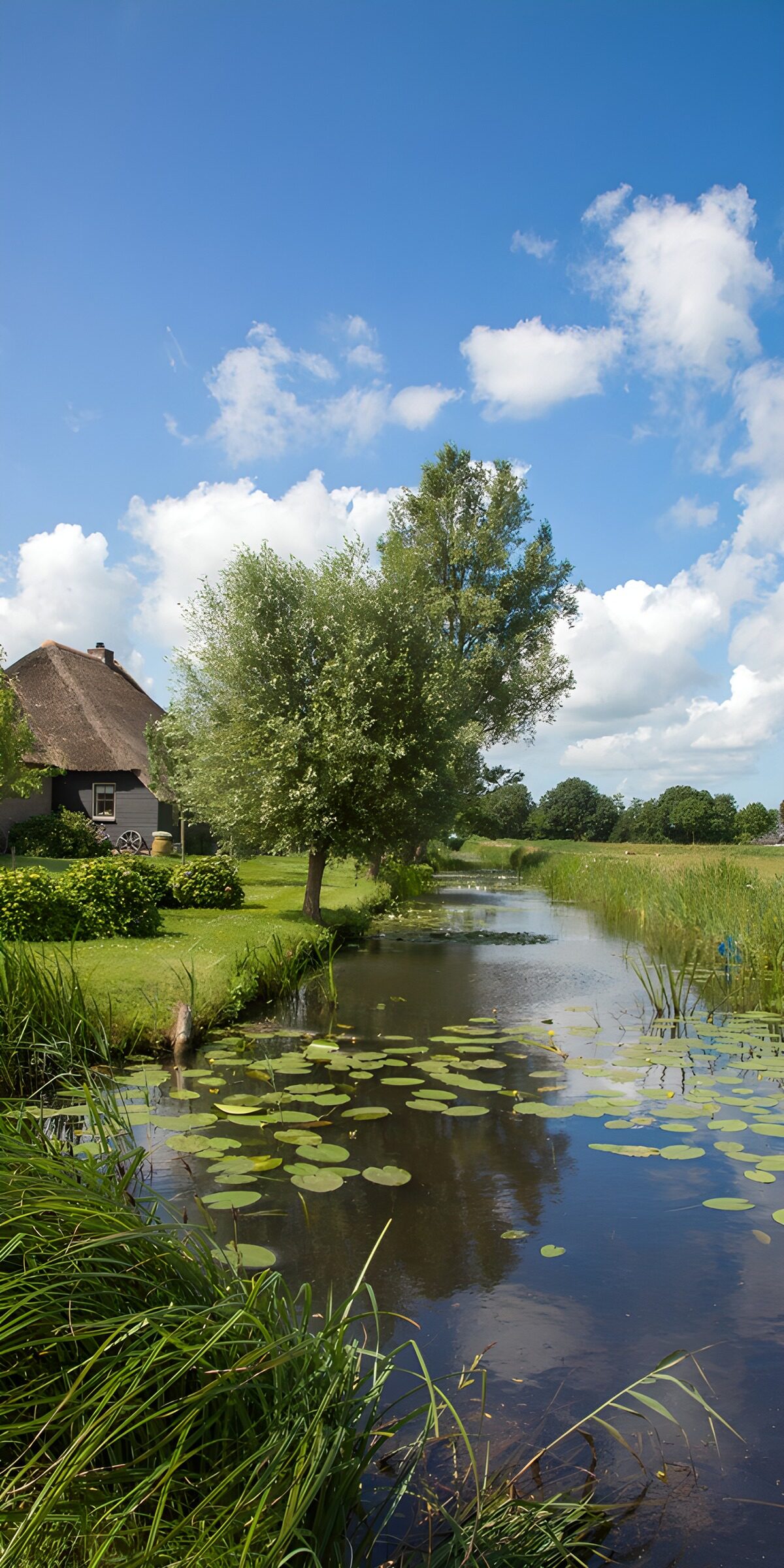 Reetdachhaus am sonnigen Wassergraben