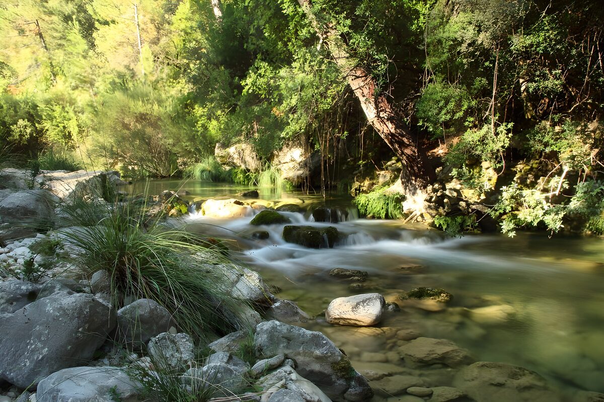 Waldbach mit Felsen im Sonnenlicht