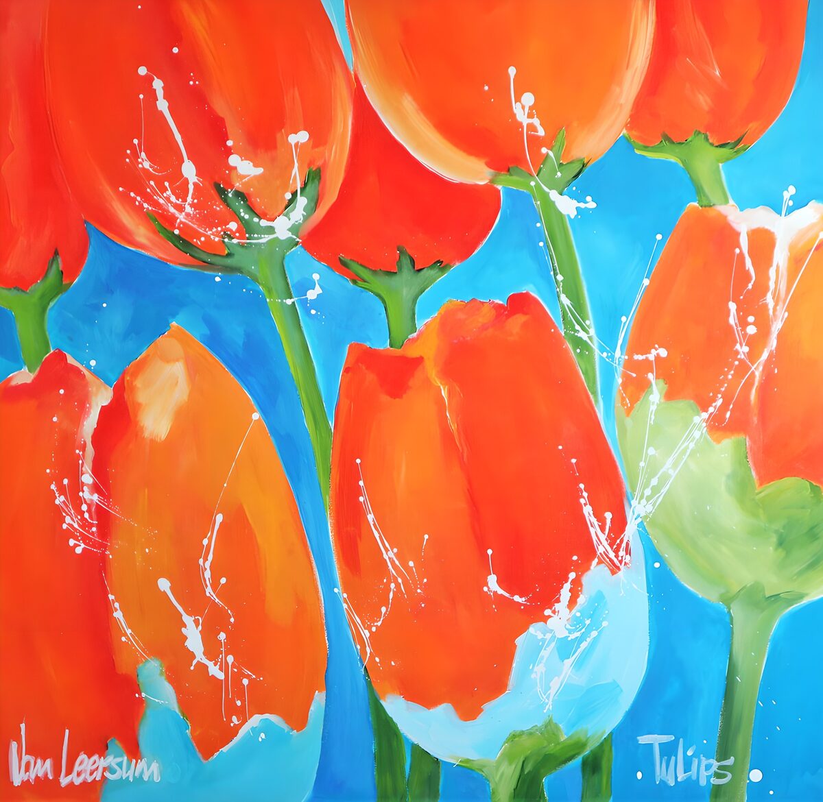 Tulpen in Rot und Orange vor kräftigem Blau