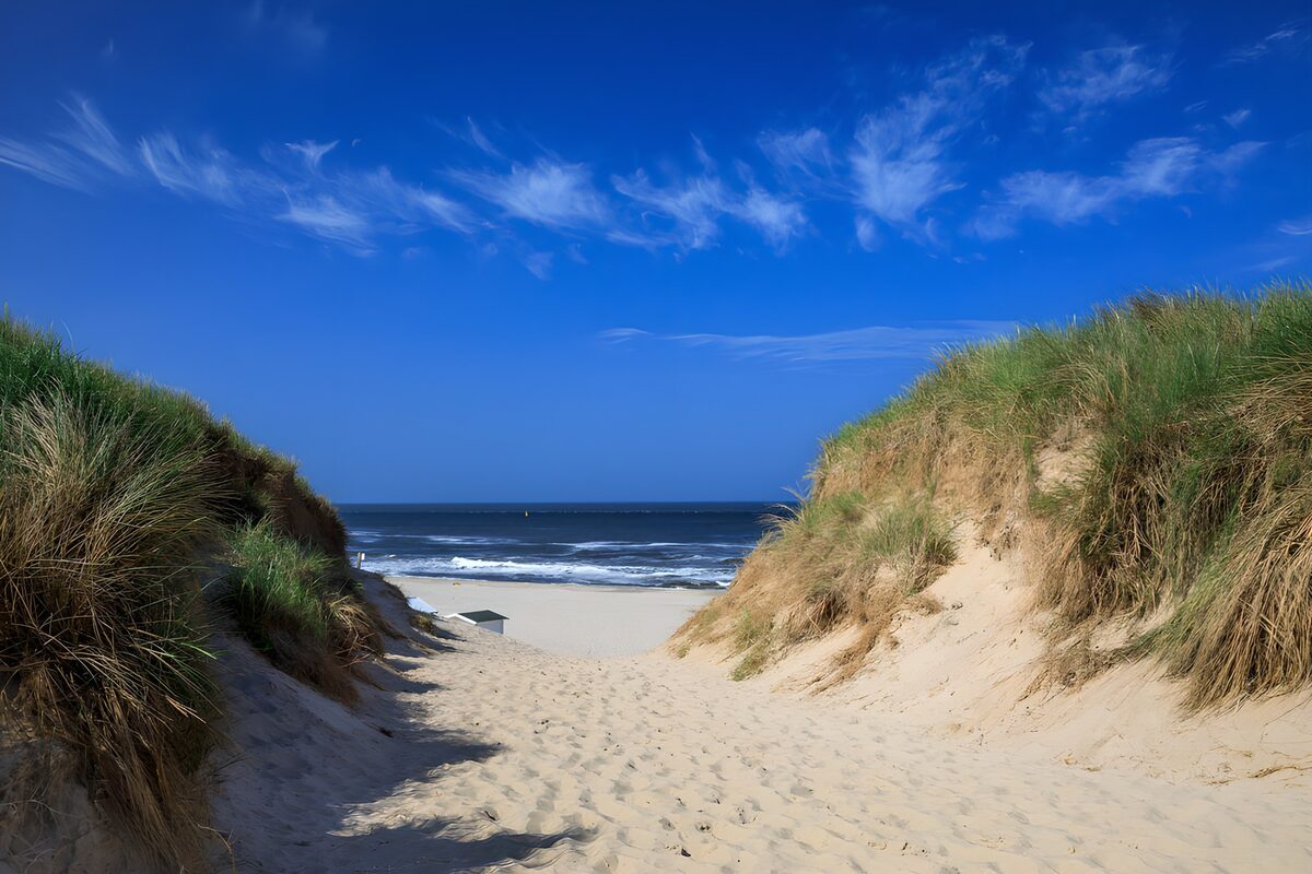 Sonniger Dünenweg zum blauen Meer