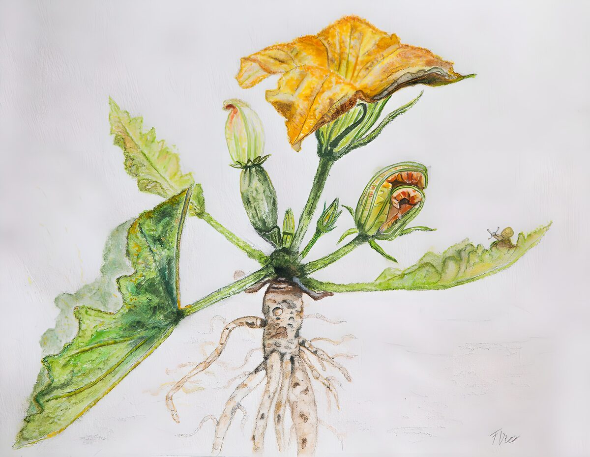 Gelbe Blüte in zarten Aquarellfarben
