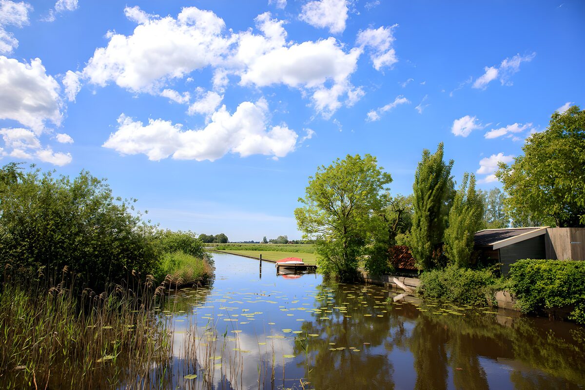 Sommerlicher Kanal mit Schilf und Boot