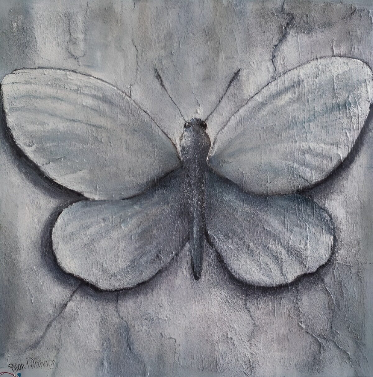 Schmetterling in silbrigem Grau