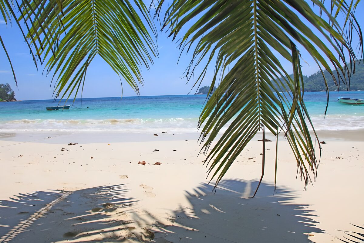 Palmenstrand am ruhigen, türkisblauen Meer