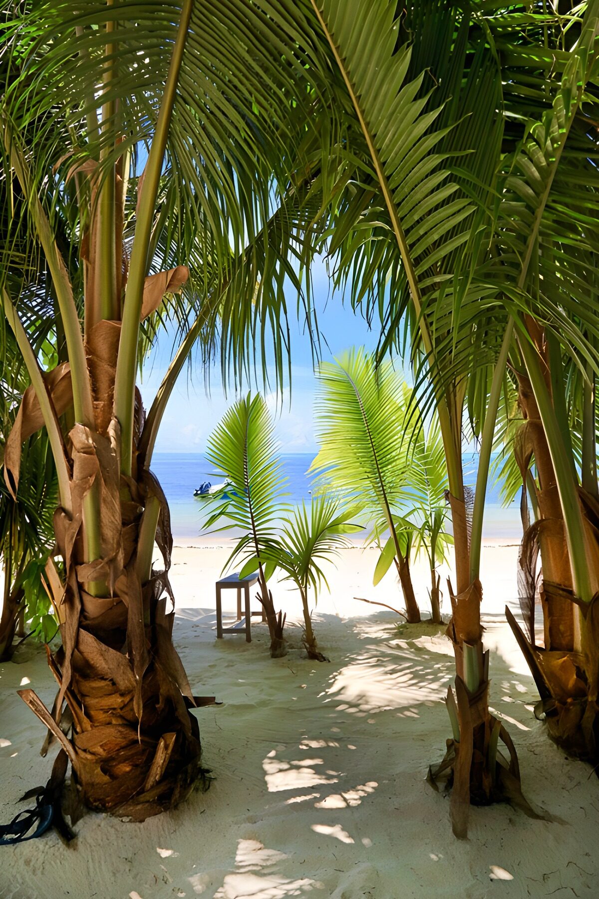 Zwischen Palmengrün und Meeresblau