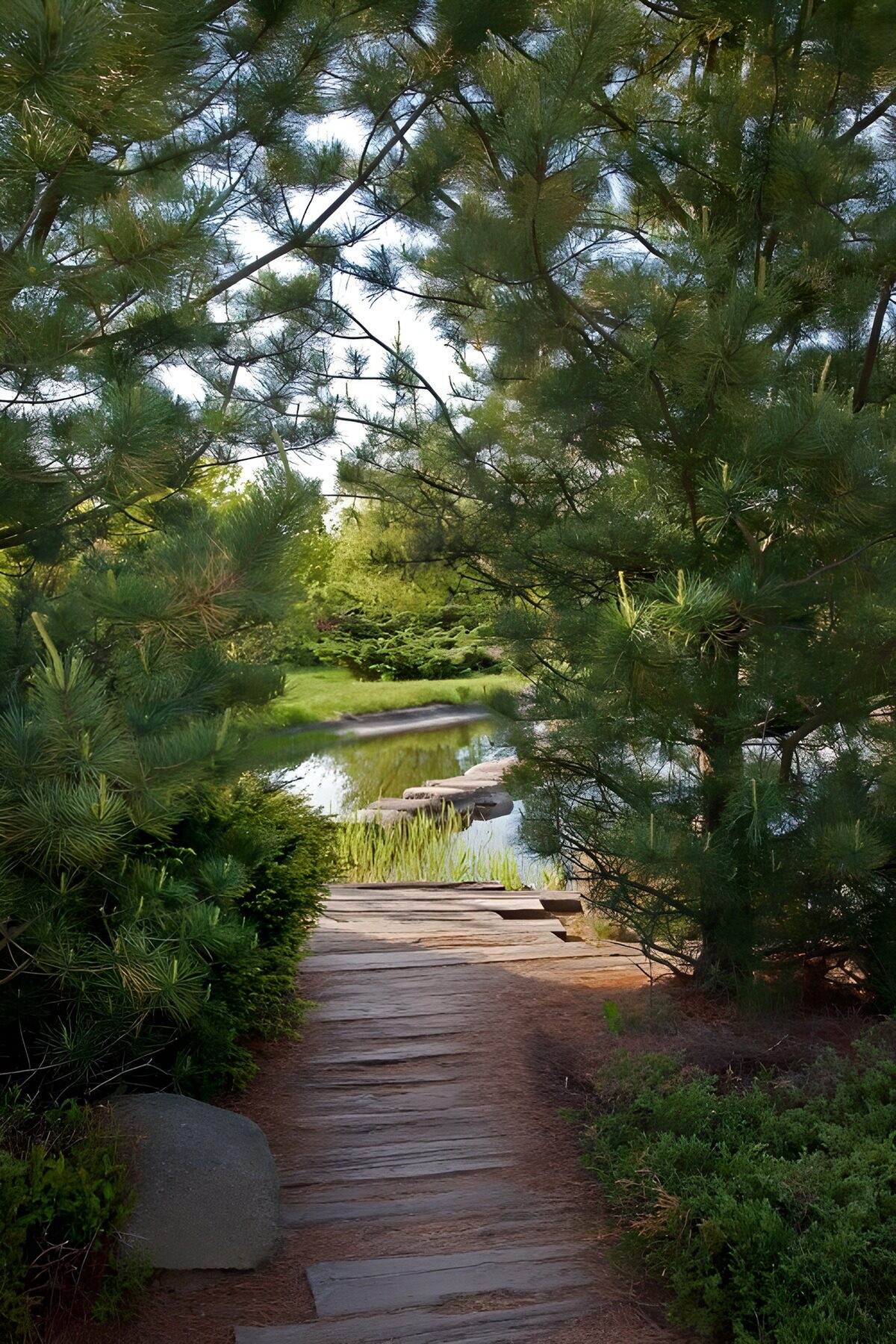 Schattiger Steinweg zum Gartenteich