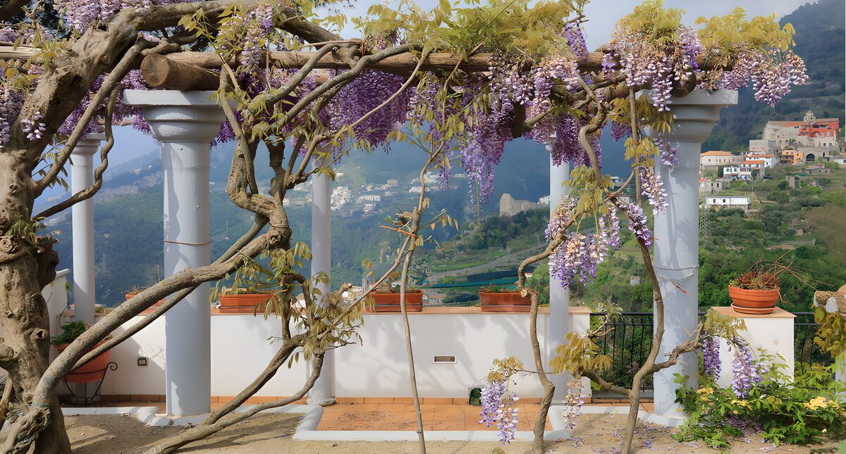 Sonnenterrasse unter der Blauregenpergola