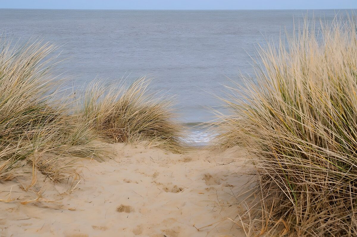 Sand und Dünengras am stillen Meer
