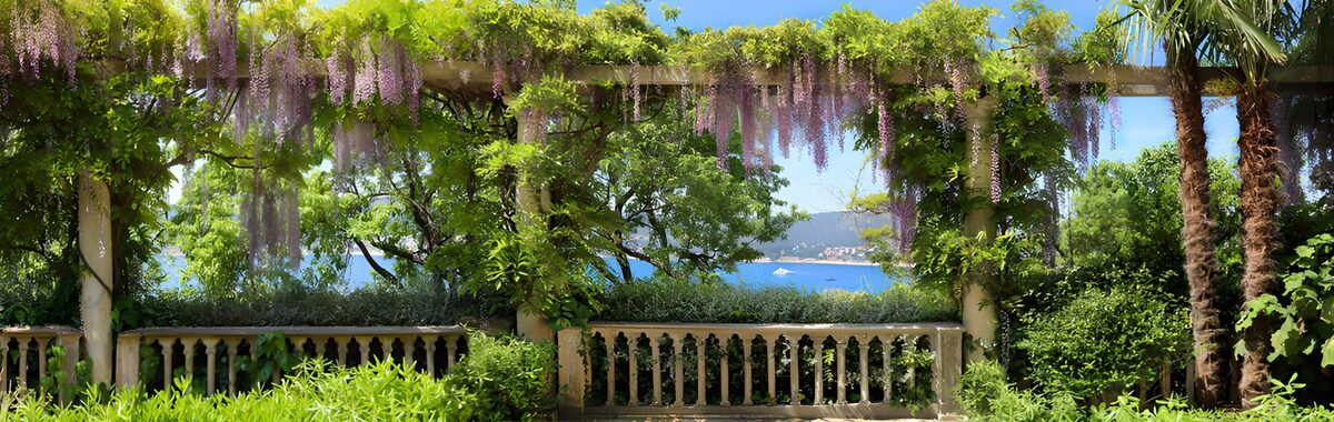 Pergola mit Blauregen und Meerblick