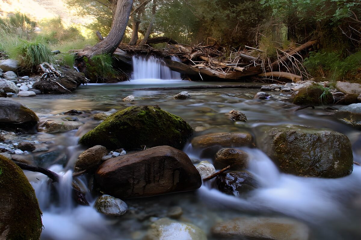 Waldbach mit Felsen im warmen Licht
