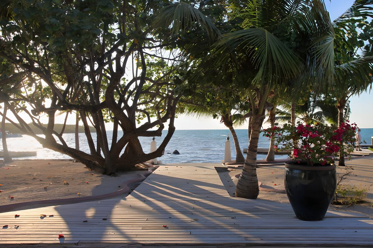 Holzdeck am Meer im Palmenschatten