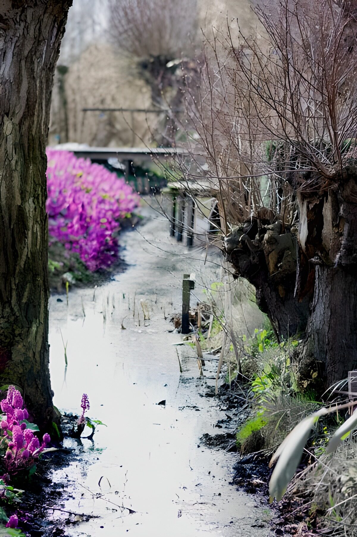 Stiller Gartenwasserlauf zwischen Bäumen