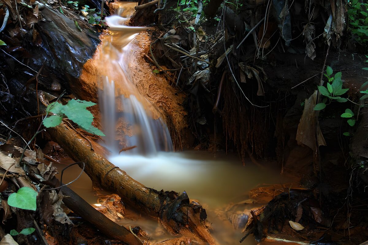 Kleiner Wasserfall im stillen Wald