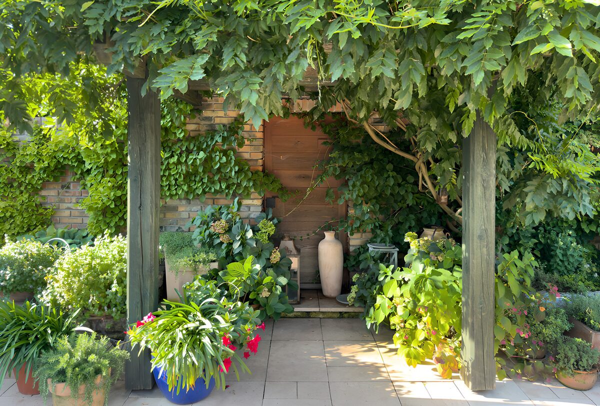 Begrünte Pergola mit vielen Topfpflanzen