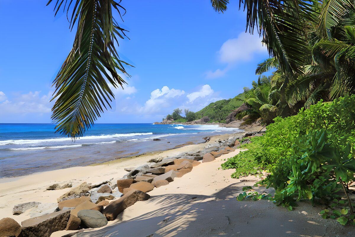 Tropenstrand mit Palmen und Felsen