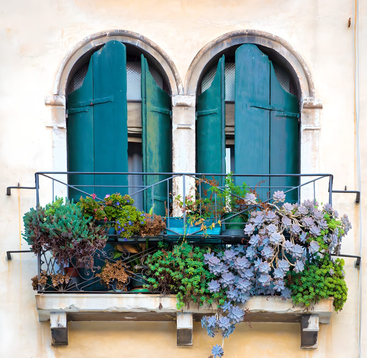 Grüner Balkon mit verwitterten Fensterläden