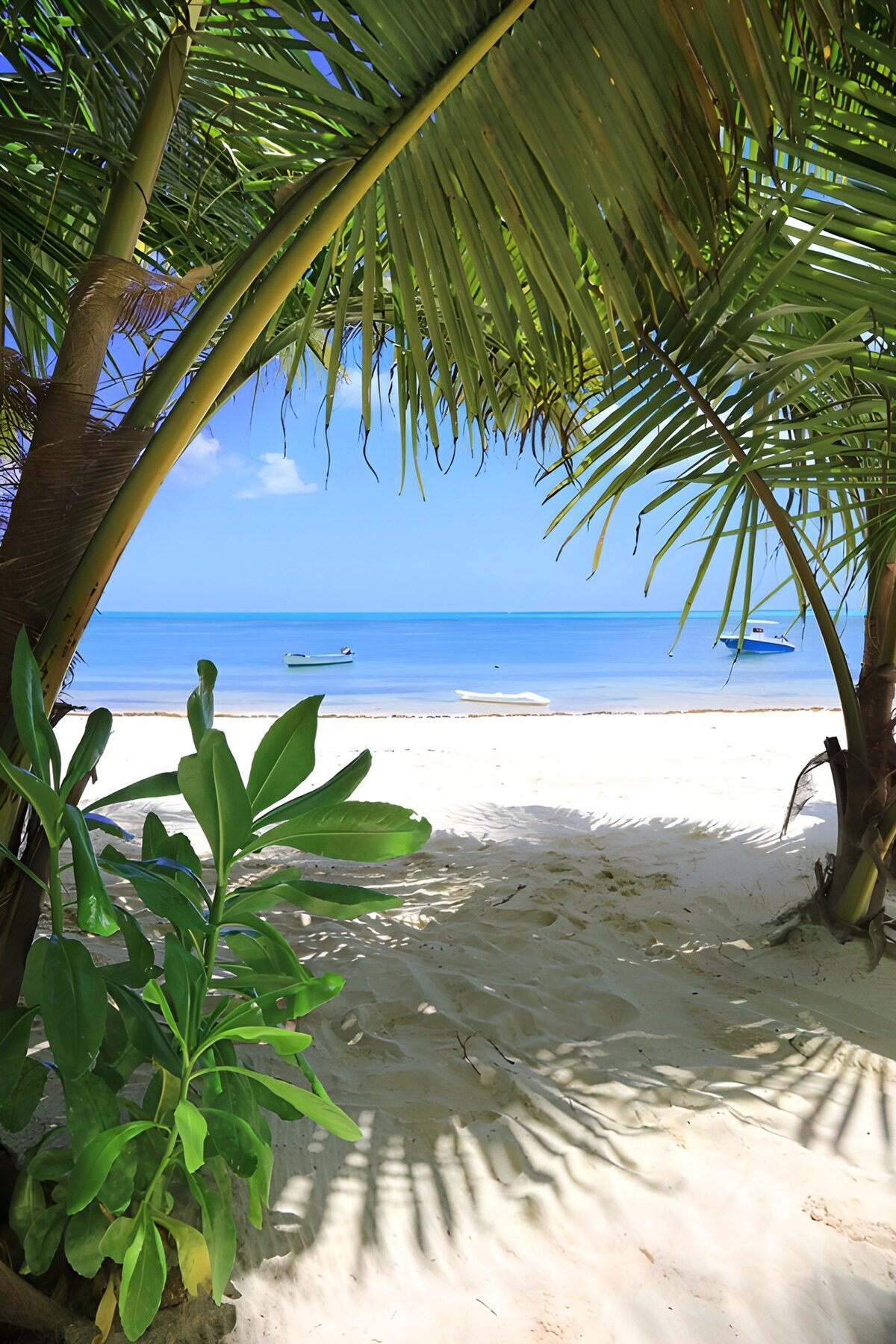 Palmenstrand mit Blick aufs blaue Meer