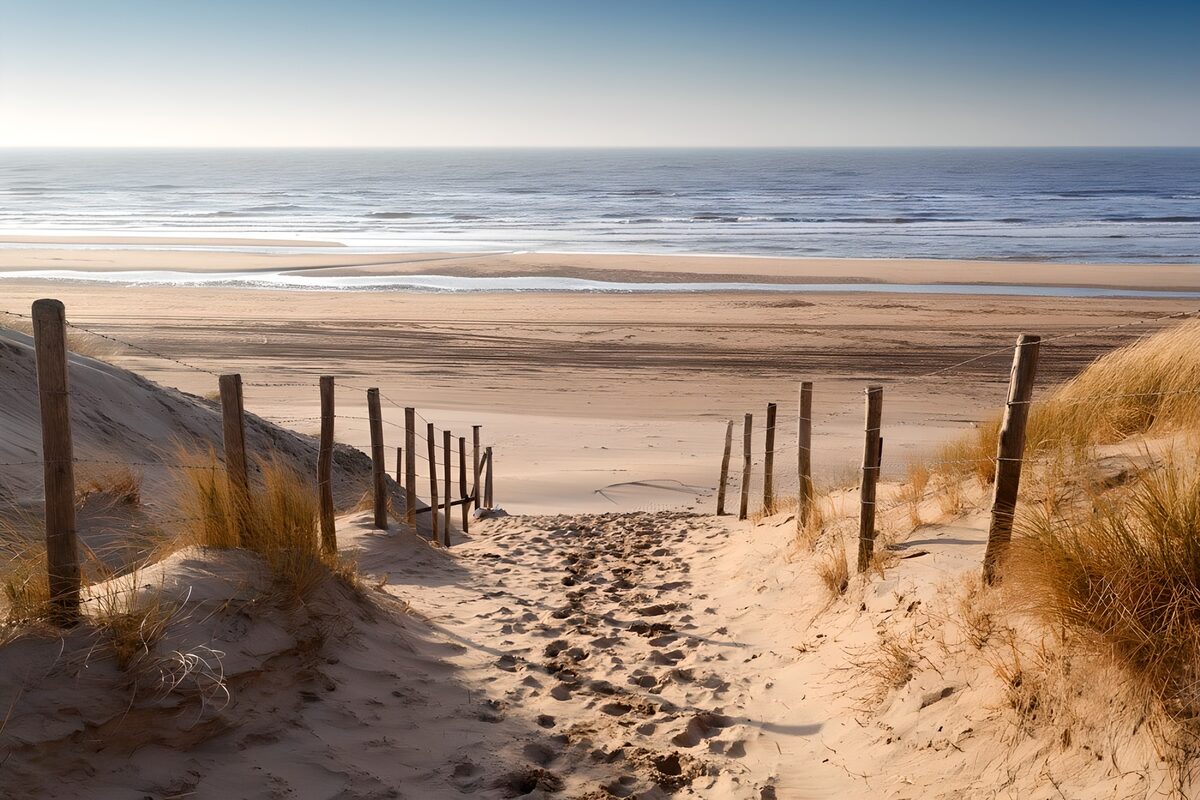 Dünenweg zum Meer im warmen Licht