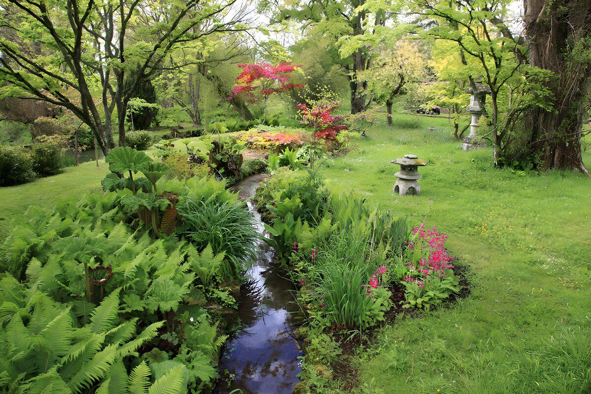 Japanischer Garten mit Bach und rotem Ahorn