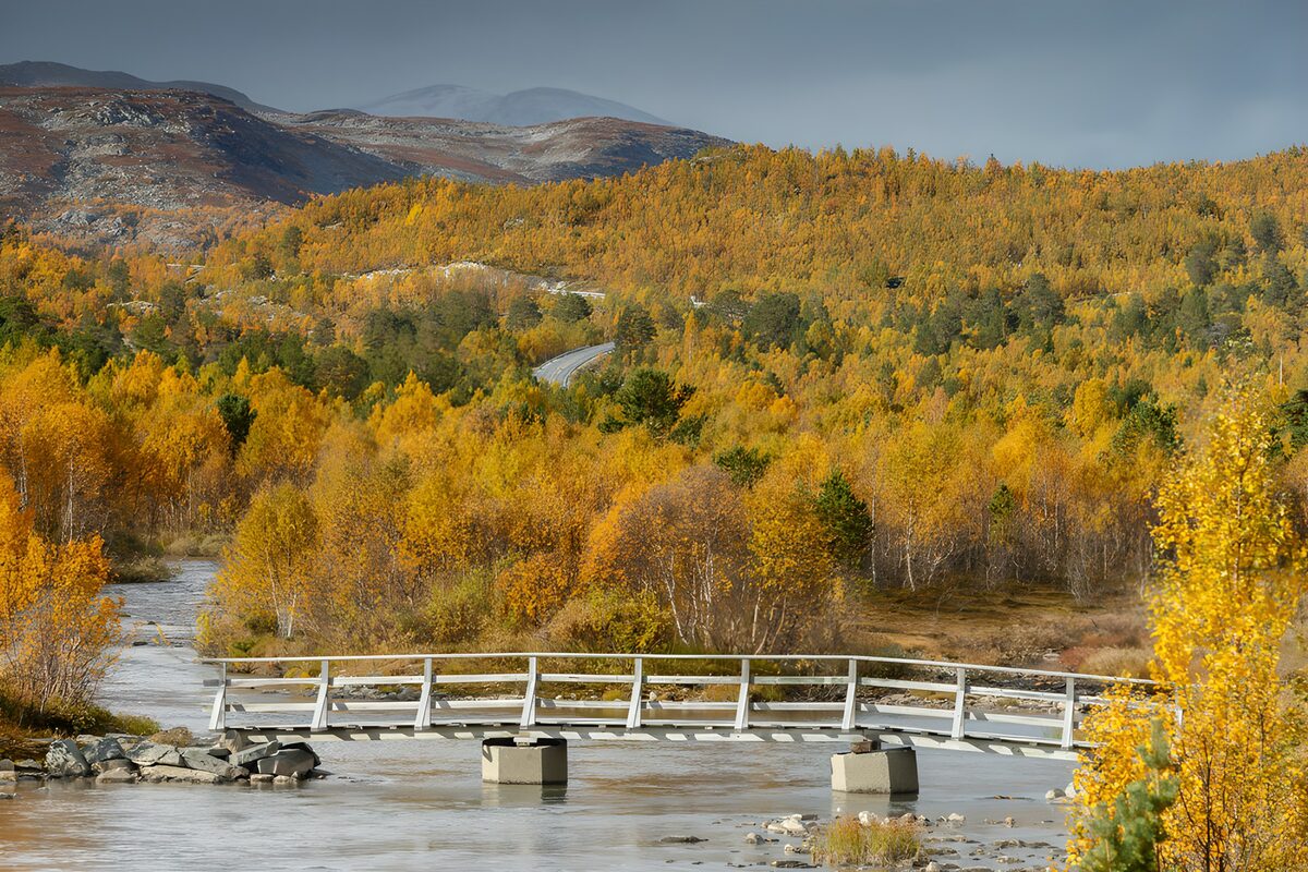 Holzbrücke im herbstlichen Bergtal