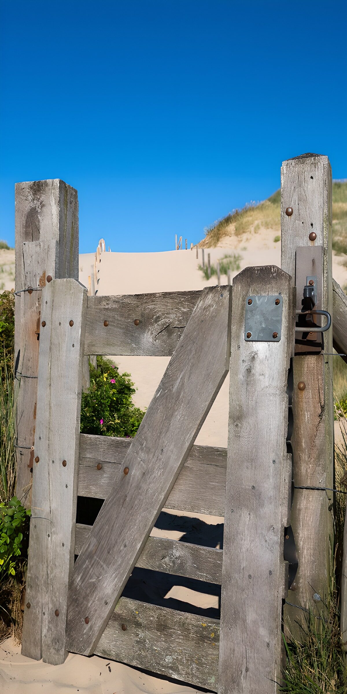 Holztor am sandigen Dünenweg