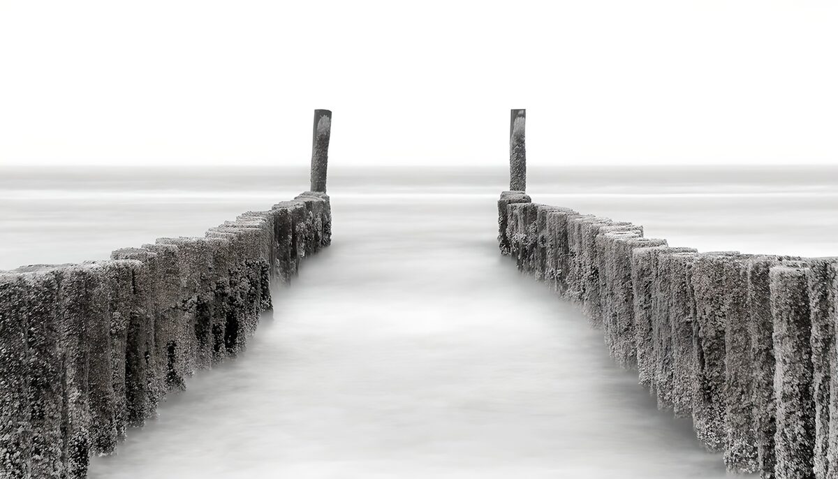 Holzpfähle im Meer in Schwarz-Weiß