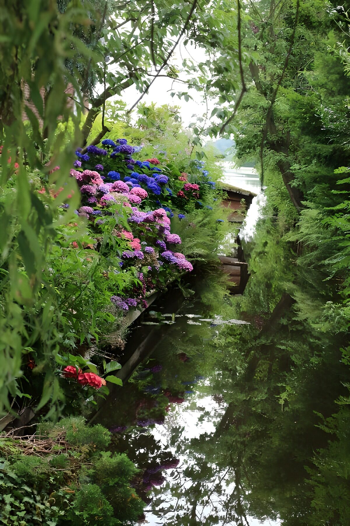 Hortensien am stillen Gartenbach
