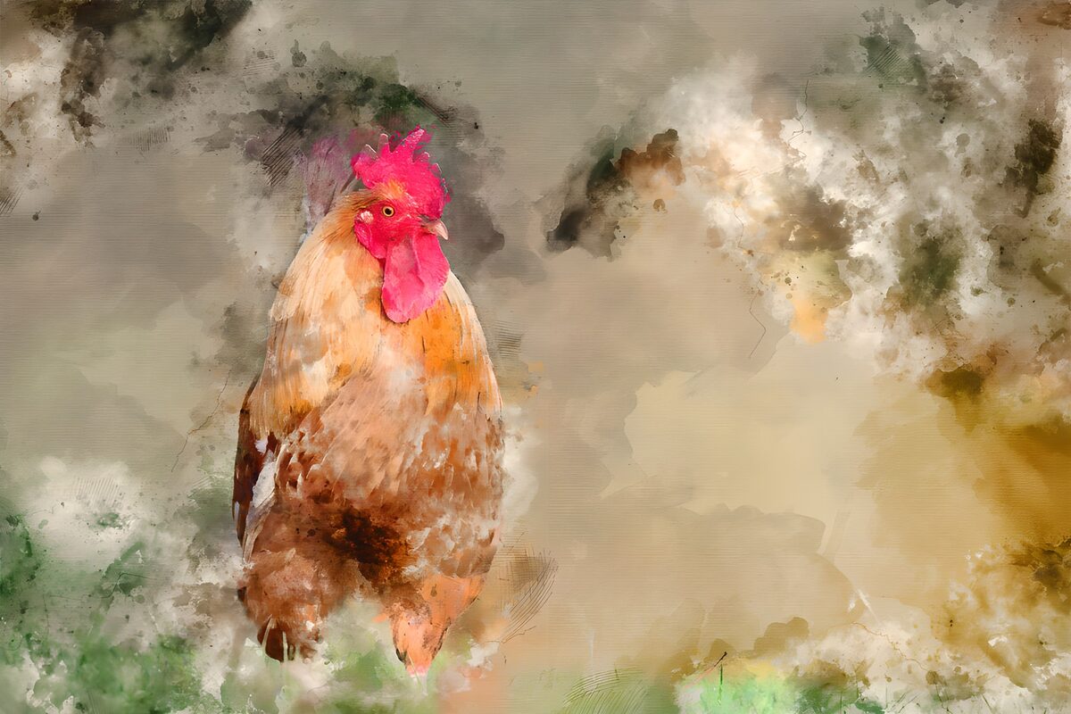 Hahn in warmen Aquarellfarben